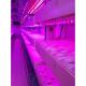 Container Farm Hydroponic Growing System Multi-Span Agricultural Greenhouses