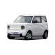 SUV Geely Panda Mini 200km Battery Life Pure Electric Miniature Adult Energy Vehicle