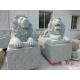 Carving Stong Lion Sculpture