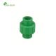 Nb-Qxhy Plastic Manufacturers Provide Customization PPR Pipe Union for Green Fittings