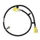 300V Automotive Wiring Harness High Temperature Resistant Vehicle Wiring Harness
