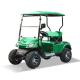 Green Color EV 2 Seats Golf Cart Electric Vehicle With CE Certification Off-road tires