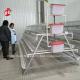 A Type Chicken 128 birds Poultry Chicken Battery Cage System Hot Dipped Galvanized For Nigeria Farm  Doris