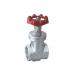 1 Inch 2 Inch or Customized Stainless Steel Gate Valve for Water Fountain Parts