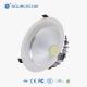 20W LED COB downlight supplier in China