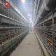 3 Tiers 4 Tiers H Type Broiler Poultry Farm Automatic Chicken Broilers Cage System