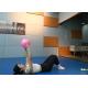 Soft Pilates Ball 23cm-25cm Small Exercise Ball Mini Gym Ball With Inflatable Straw