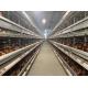 Hot Galvanized Poultry Cage Equipment  H Type Layer Cage 90 - 240 Birds Capacity