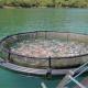 Local Development Aquaculture Net Black Color Long Working Lifespan