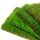 6000 Dtex Artificial Grass Turf Synthetic Landscaping SBR Coating