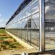 Luxury Greenhouse Glass Full Auto High Tech Glasshouse Multispan Green House Attached Even Span