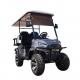 Equipped Electric Golf Cart for Standing Postion of Tail Caddie Driving Mileage ≥90km