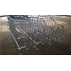 Galvanized Steel Pipe Pig Gestation Crates In Pig Farm House 2.2m*1.0m*0.6m