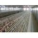 Simple Q235 Quail Laying Cage 800 Birds Capacity Long Working Using Life