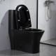 Ceramic Dual Flush Elongated One Piece Toilet Siphonic 2-1/8 Trap Double