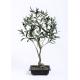 Faux Ornamental Olive Tree Maintenance Free 80cm Perfect Fit Waterproof