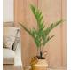 Soft Artificial Potted Floor Plants Kenita Pot For Home Decor Uv Resistant