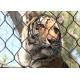 Inox Kotted Zoo Animal Enclosure Flexible Netting Customized Size For Tiger