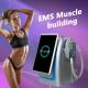 600w 5 Handles EMS Sculpting Machine For Neo RF 14 Tesla Bodi Sculpting Body Slimming