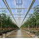 US Float Single Span Greenhouse for Vegetables/Fruits/Flowers and Return refunds