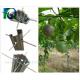 C Shaped Orchard Trellis Systems Passion Fruit Posts 2500x1.5MM High Rigidity