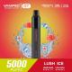 62G 13ML Disposable Vape Pen Lush Ice Flavor 1800Mah Battery