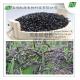Hot Selling Black Rice Extract Powder in 2015