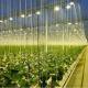 Glass Cover JX-GG-12 Shaded Hydroponic Seedling Facility Illuminate Greenhouse by Juxiang