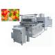 Commercial Stainless Steel Jelly Gummy Candy Production Line 1900*1100*1800MM