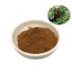 Pure Natural Rosemary Extract Carnosic Acid Powder Cas 3650-09-7
