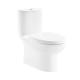 Sanitary Ceram Dual Flush 1 Piece Toilet Western 715×380×733mm