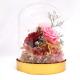 Luxury Preserved Rose Glass Dome Beautiful For Christmas Decoration