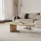 Acrylic High Density Board Living Room Coffee Table Oval Shape Modern