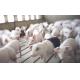 High Durability 2000 Pigs Farm Livestock Farming Equipment