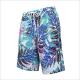 Summer New Quick Dry Men'S Beach Pants Surfing Casual Large Pants