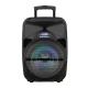 Portable Bluetooth Speaker with 12 Plastic Subwoofer and Microphone