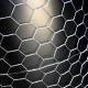 PVC Galvanized Poultry Farms Fence/Hexagonal Wire Netting/Chicken Wire Mesh