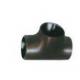 SS304 SS321 SS316L Butt Weld Pipe Fittings TEE 2 Black Painting