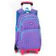 Antiwear Travel School Trolley Bag For Kids Moistureproof Multiscene