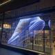Fixed Advertising LED Display Panel P3.91 P7.8 Transparent LED Mesh Screen for Store Curtain