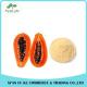 Beverage Ingredient Dry Papaya Fruit Extract Powder