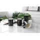 22oz 650ml ISO Stylish  Eco Promotional Reusable Coffee Cup
