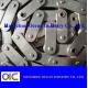 Stainless Steel Hollow Pin Chain C2060 for Conveyor Line