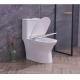 Popular Economic Toilets SWS9218 Siphonic One piece Toilets S trap with PP Soft Closed Seat Cover