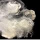 Bosilun Fiber HCS Filling Polyfill Stuffing Cotton Fiber Pillow Synthetic Polyester Staple Fiber