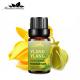Yellow Body Essential Oils Perfume USDA 25kg Pure Ylang Ylang Essential Oil Skin