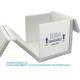 Styrofoam Box Cooler Polystyrene Foam Containers Eps Foam Box EcoFriendly Insulated Shipping Cooler