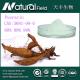 Health care supplement Puerarialobata(Wild.) Ohwi natural puerarin
