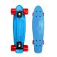 Plastic Mini Penny Complete Skateboards 22 With Blue Deck Red Wheels