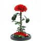 Fashion Dried Long Stem Rose Flower In Glass With Beautiful Appearance